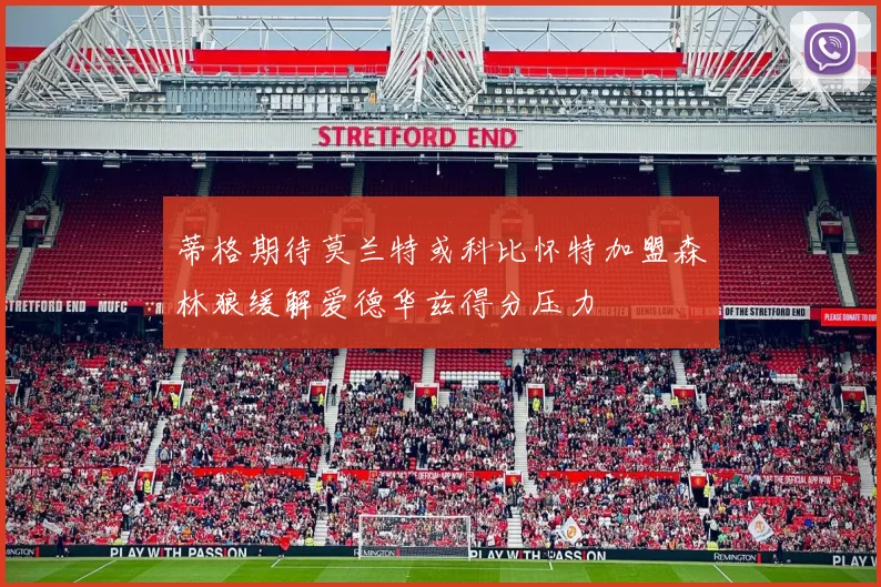 蒂格期待莫兰特或科比怀特加盟森林狼缓解爱德华兹得分压力